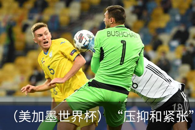 （美加墨世界杯）“压抑和紧张”中的伊朗队首秀